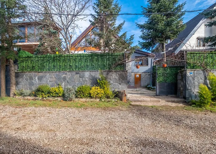 Uludag & Dogus Uludag *