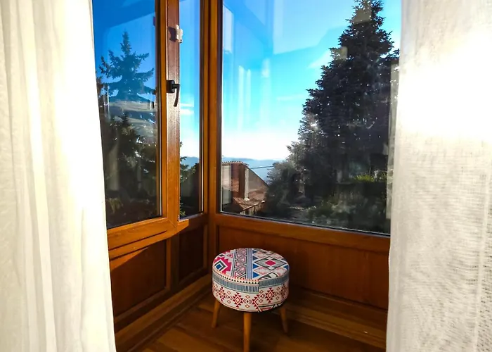 Villa Uludag & Dogus Uludag Bursa