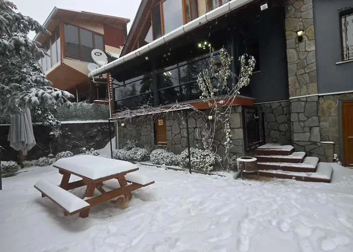 Uludag & Dogus Uludag Bursa