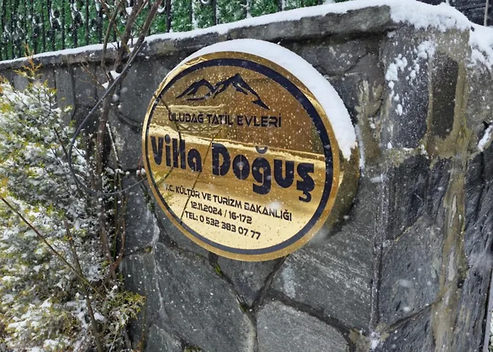 Uludag & Dogus Uludag *